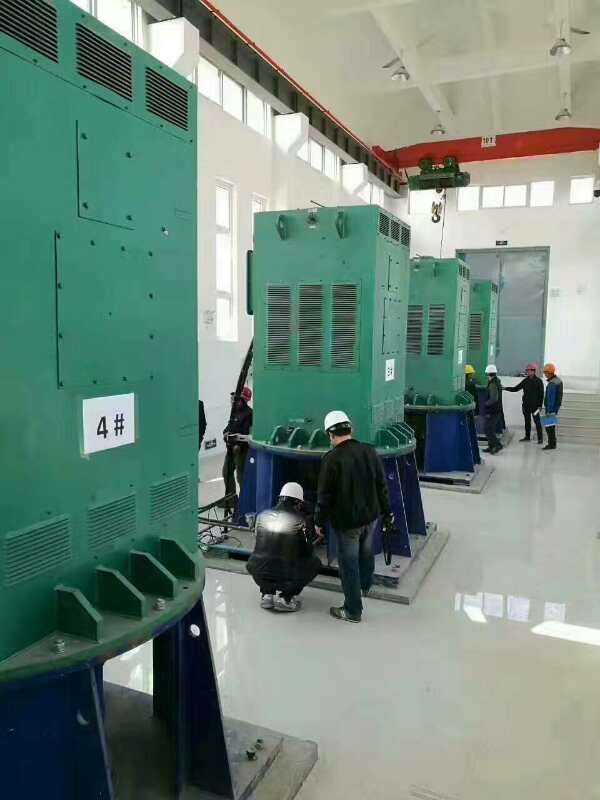 广宁某污水处理厂使用我厂的立式高压电机安装现场